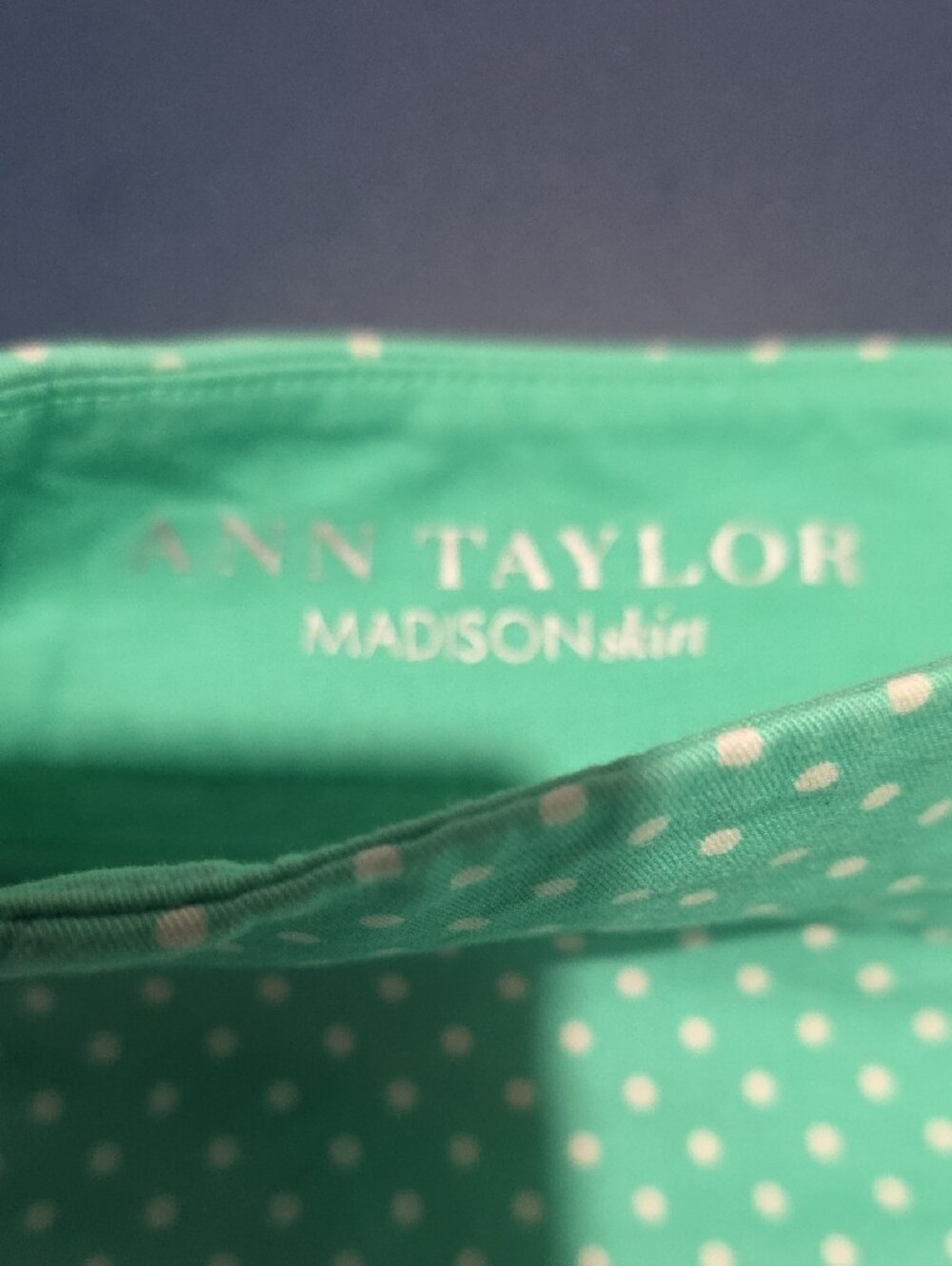 Ann Taylor Mint Green Polka Dot Pencil Skirt - Picture 2 of 4